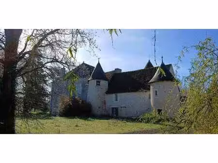 manoir buzançais (36)