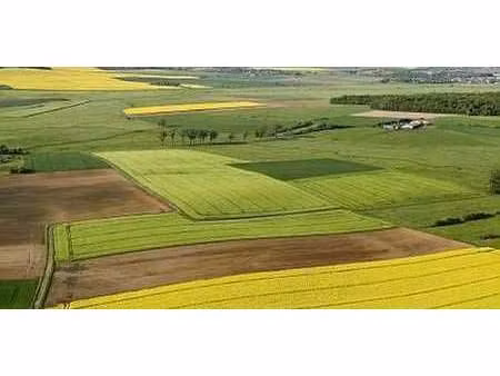propriété saint-lactencin (36)
