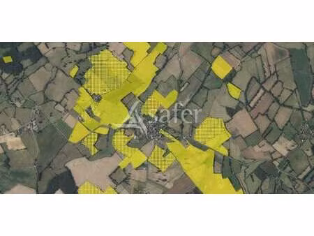 terrain neuvy-saint-sépulchre (36)