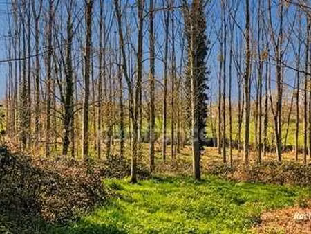 vente terrain à pancé (35320) : à vendre / 18756m² pancé