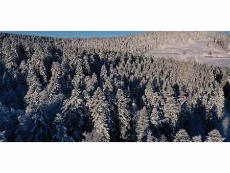 terrain la bourboule (63)