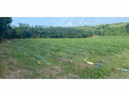 terrain le vauclin (972)