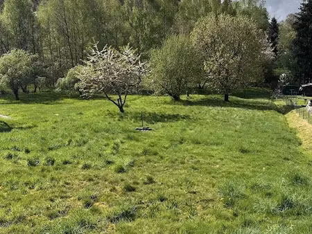 vente terrain 1280 m² à pouxeux (88550)  32 000 €