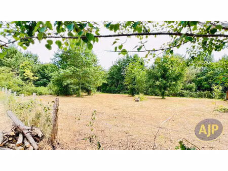 terrain de 800 m2 à lège