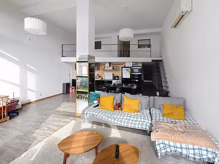superbe loft lumineux tourcoing secteur jardin botanique