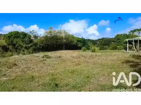 vente terrain 1241 m² à le vauclin (97280)  145 000 €