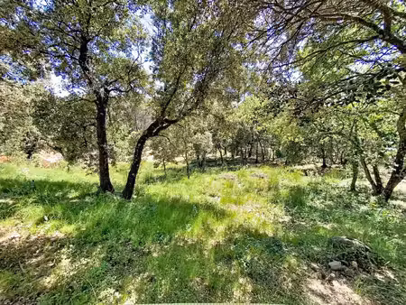 terrain de 2000m2  environnement exceptionnel