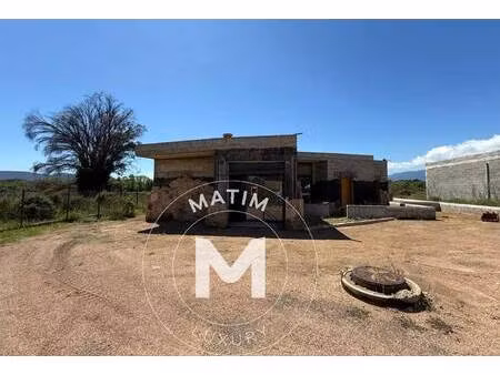 matim