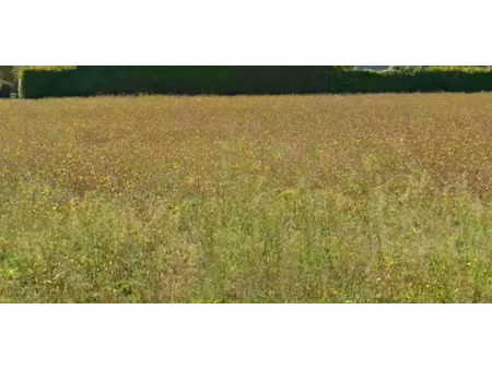 vente terrain 216 m² à aigrefeuille-d'aunis (17290)  70 600 €