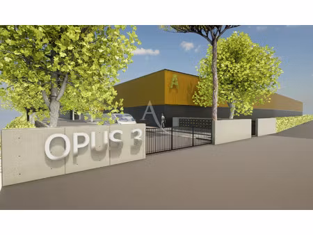 vente commerce 195 m² montauban (82000)