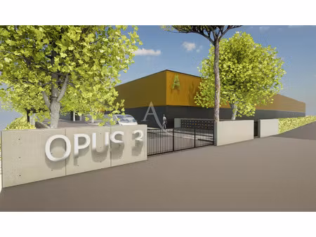 vente commerce 261 m² montauban (82000)