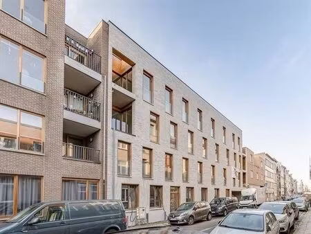appartement à louer à haantjeslei 62 anvers (rbw35725)