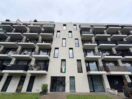 appartement à louer à zeelandstraat 69 hoboken (rbw35724)