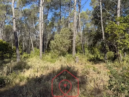 vente terrain 1528 m² bagnols-en-forêt (83600)