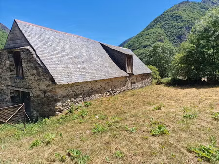vente locaux professionnels 2 pièces 165 m² à tramezaïgues (65170)  169 000 €