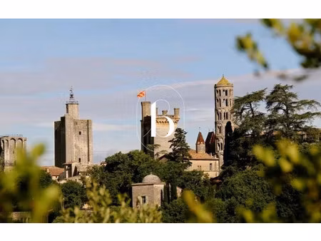 vente locaux professionnels 1 pièce 59 m² à uzès (30700)  55 000 €