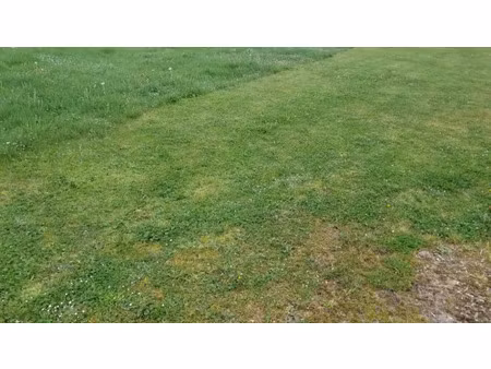 vente terrain 510 m² à créon (33670)  124 000 €