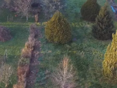 vente maison 2 pièces 50 m² la meilleraie-tillay (85700)