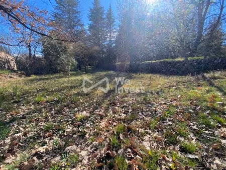 vente terrain à batir 3000 m² à saint-maximin-la-sainte-baume (83470)  229 500 €
