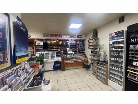 vente locaux professionnels 120 m² à verneuil-sur-vienne (87430)  339 760 €