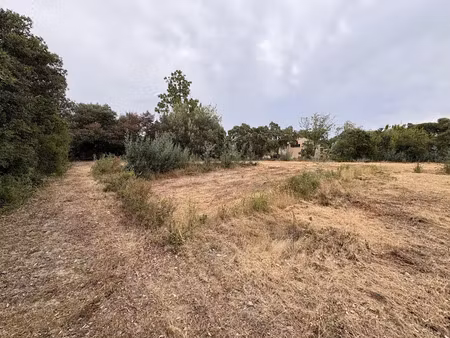 vente terrain 2545 m² à solaro (20240)  540 000 €