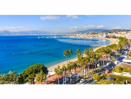 a vendre bel immeuble entier - banane - investissement locatif