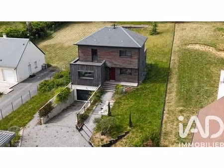 maison à nazelles-négron (37530)
