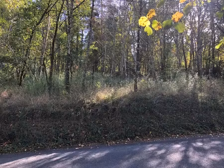 vente terrain à batir à luzech (46140)  35 500 €