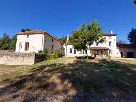 vente propriété 7 pièces 302 m2 à valdivienne