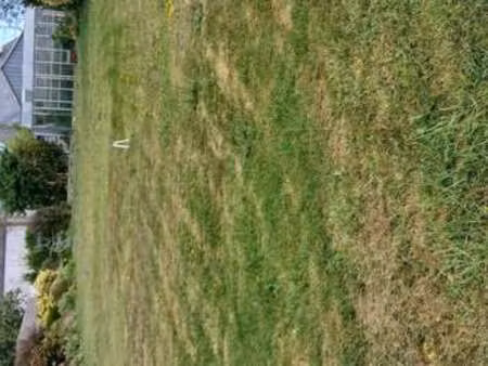 vente terrain au drennec (29860) : à vendre / le drennec