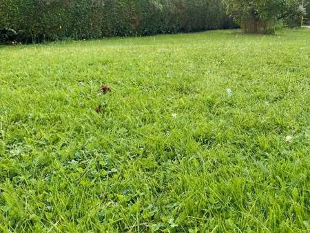 terrain constructible viabilisé à vendre