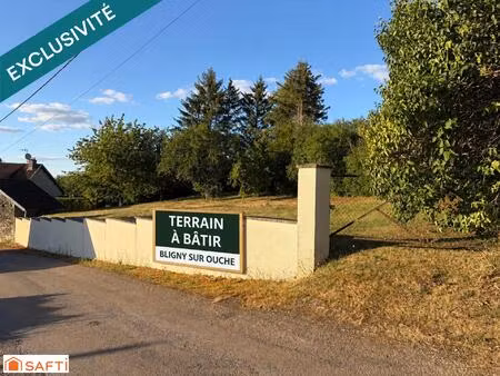 terrain a batir bligny sur ouche