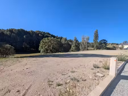 terrain