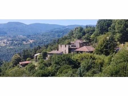 maison de luxe 8 chambres en vente à nonières  auvergne-rhône-alpes