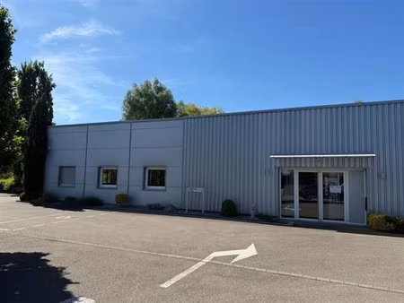 vente local d'activités wettolsheim 1 100 m²