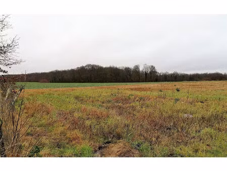 terrain constructible