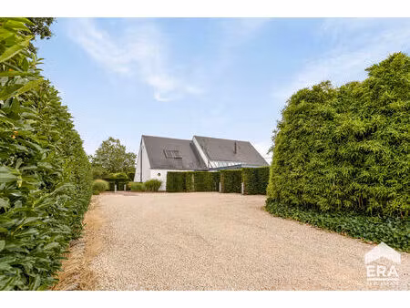commercieel te huur in eindhout