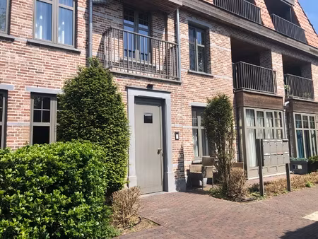 appartement te huur in hoogstraten met 1 slaapkamer