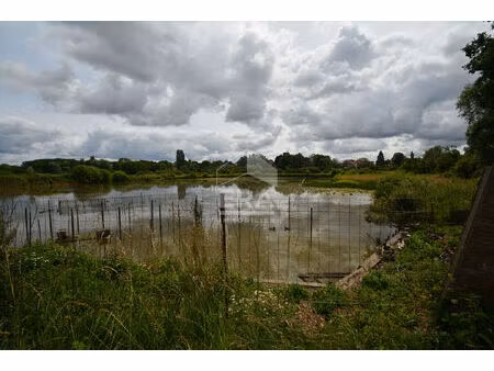 etang 1 pièces 8000 m² à vendre / acheter bachant 59138 ? | era immobilier