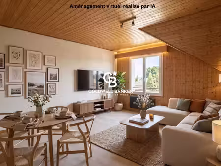 achat appartement 2 pièces 52m² st cergues 74140