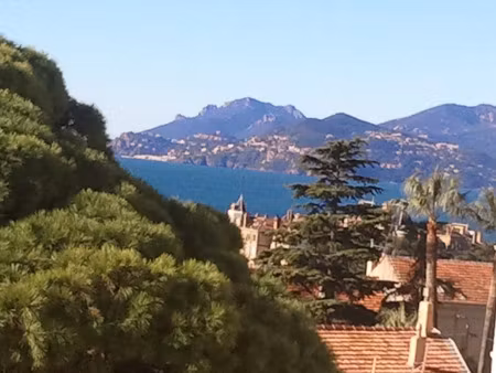 location appartement 1 pièce 10 m² à cannes (06150)