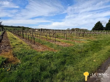 achat terrain 9 069m² st ciers du taillon 17240