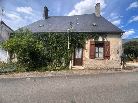 vente maison 2 pièces 77 m² ivoy-le-pré (18380)