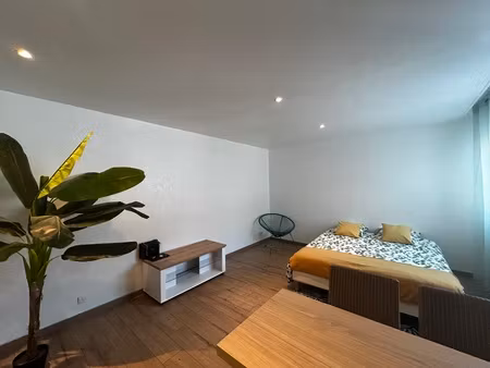 location appartement 1 pièce 30m²