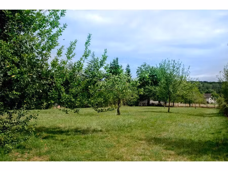 vente terrain 2000 m² athesans-étroitefontaine (70110)
