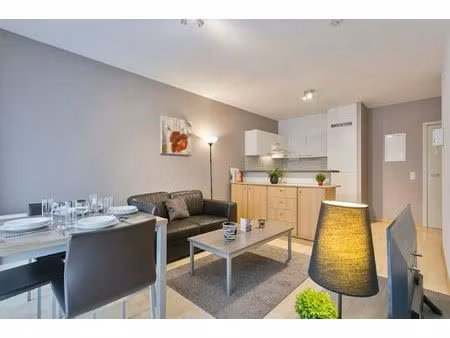appartement à louer à henry dunantlaan evere (vbe42708)