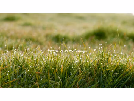 vente terrain