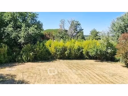 terrain