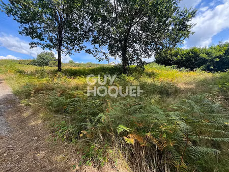 a vendre : terrain de 2067m2 à rion des landes ( 40370)