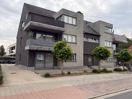 appartement te huur in westerlo met 3 slaapkamers